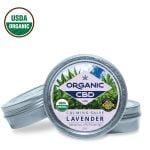 500mg Full Spectrum CBD Salve: Lavender