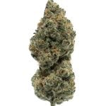 APPLE TART (INDOOR) THC-A Hemp Flower | Black Tie CBD