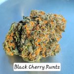 Black Cherry Runtz Indoor THCa Hemp Flower