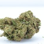 Black Cherry Soda Premium Hemp Flower | Budinga