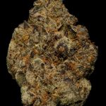 Black Velvet - 26% THCA Living Soil Exotic Hemp Flower