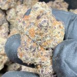 Blue Guava Gelato | The Southern Hemp Collective