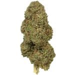 Blue Nitro CBD Hemp Flower | Lost Oak Farms