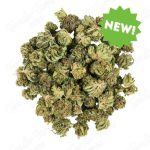 Blue Orchid Smalls • 16.2% Total Cannabinoids