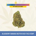 Blueberry Banana Muffin High THCa Hemp - Indoor