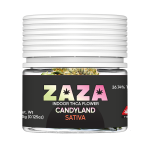 Candyland - ZAZA Flower