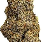 Cherry Zashimi **Big Buds** | The Southern Hemp Collective