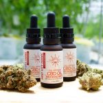 Cinnamon CBD Oil