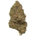 Critical Berries CBD Hemp Flower | Lost Oak Farms