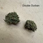 Double Durban