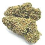 Exotic Hand Trimmed Hemp Flower (1 Lb)