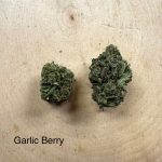 Garlic Berry