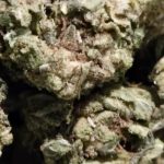 Gorilla Glue Hemp Flower | Budinga