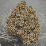 Groovy Grapes | The Southern Hemp Collective