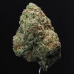 Hawaiian OG THCa Flowers 29.19% Sativa