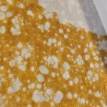 Hemp THCa Concentrate / Extract 2g