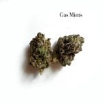 Indoor Gas Mints