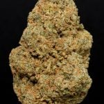 Jack Herer - 21% THCa Living Soil Hemp Flower