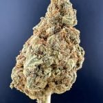 Jack Herer Indoor THCA Hemp Flower