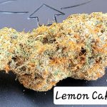 Lemon Cake Living Soil THCa Hemp Flower