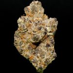 Neptune's Taint - 28% THCA Exotic Hydroponic Hemp Flower