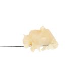 Peach Smoothie Rosin | SimplyMary