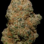 Peaches 'n Cream - 27% THCA Hydroponic Exotic Hemp Flower