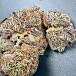 Platinum Gelato | The Southern Hemp Collective