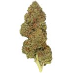 Pre-98 Bubba Kush CBD Hemp Flower | Lost Oak Farms