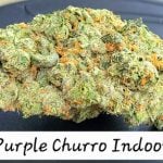 Purple Churro Indoor THCa Hemp Flower