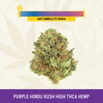 Purple Hindu Kush High THCa Hemp - Greenhouse