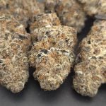 Purple Sticky Punch | Cosmic Hemp Gardens