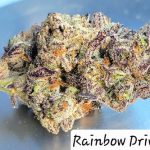 Rainbow Driver Indoor THCa Hemp Flower