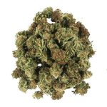 Seaside Special Smalls • 20.4% Total Cannabinoids