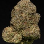 Trop Aloha - 31% THCA Exotic Hydroponic Hemp Flower