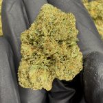 Watermelon Kush | The Southern Hemp Collective