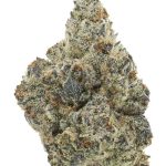 WHITE TRUFFLE (INDOOR) THC-A Hemp Flower | Black Tie CBD