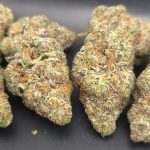 Black Cherry Soda | Cosmic Hemp Gardens