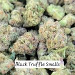 Black Truffle Light Dep THCa Smalls