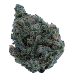 Blue Dream (Greenhouse) - Shop Hello Mary