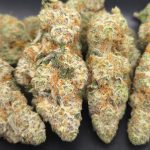 Hawaiian Snow Cone | Cosmic Hemp Gardens