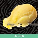 Hulk Resin Badder 1.5G - Crysp