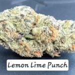 Indoor Lemon Lime Punch THCa Hemp Flower