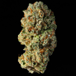 Jack Herer THCA Flower