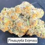 Pineapple Express Living Soil THCa Hemp Flower