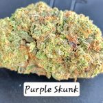 Purple Skunk THCa Hemp Flower