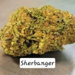 Sherbanger THCa Hemp Flower