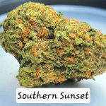 Southern Sunset THCa Hemp Flower