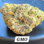 GMO Living Soil THCa Hemp Flower