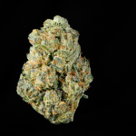 Jack Herer THCA Flower